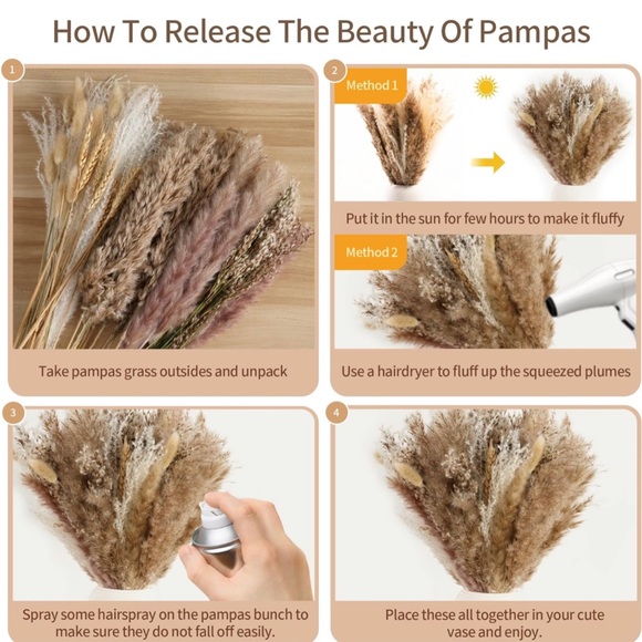 Pampas Grass NWT - Picture 1 of 5